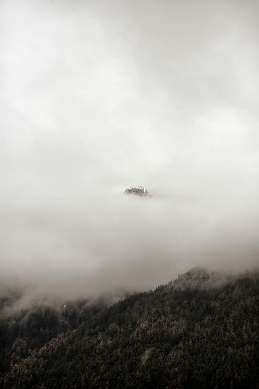 forest covered by fog during day time, landscape photography of foggy mountain HD wallpaper