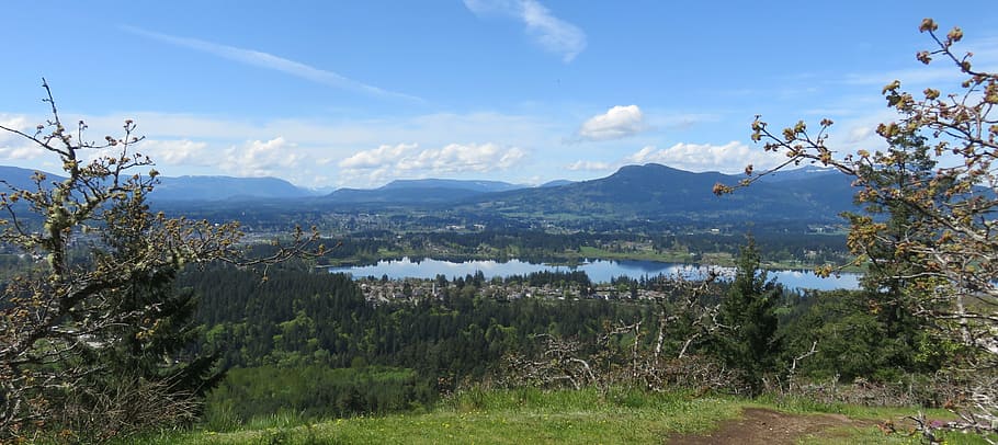 spring, view, nature, landscape, vista, oak, mountain, lake HD wallpaper