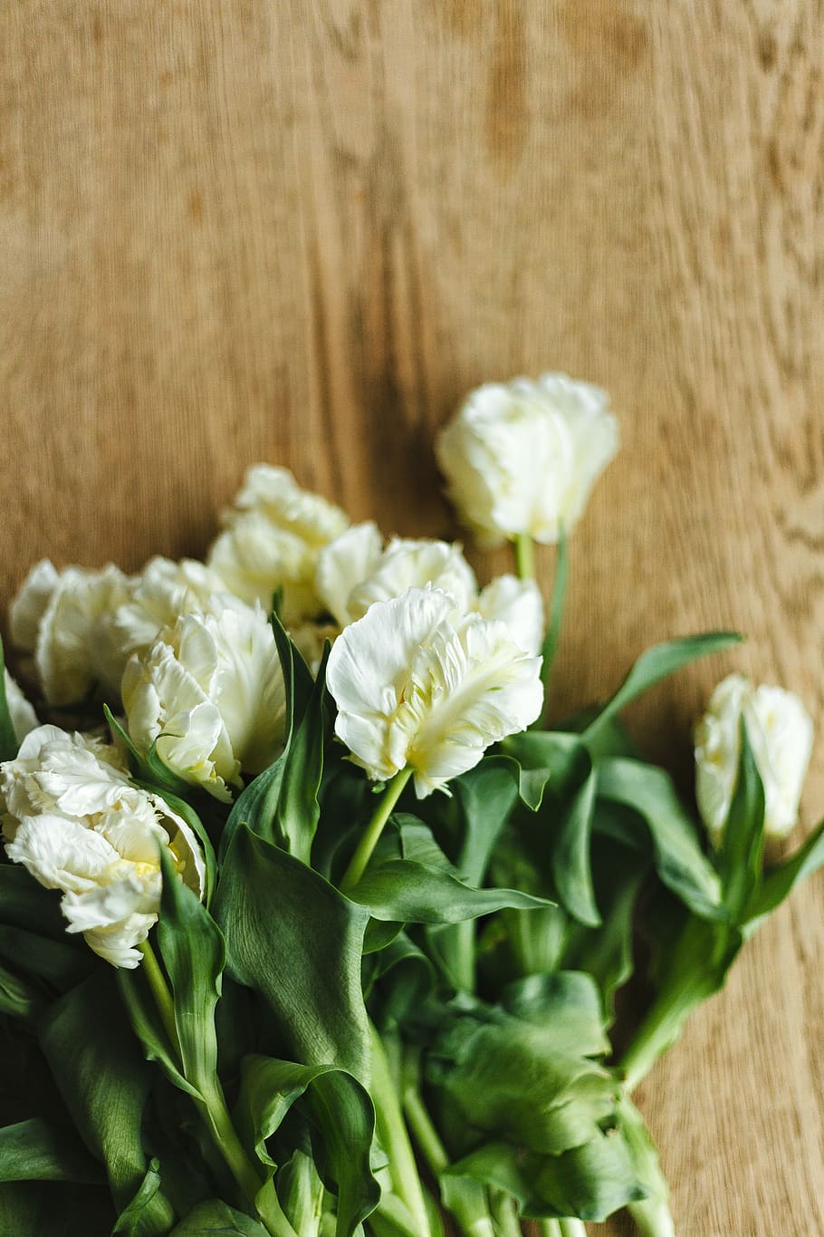 white, petal, flower, bunch, green, leaf, plant, flowering plant HD wallpaper