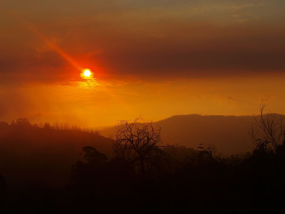 backlit, clouds, dark, dawn, dusk, evening, fog, golden hour HD wallpaper
