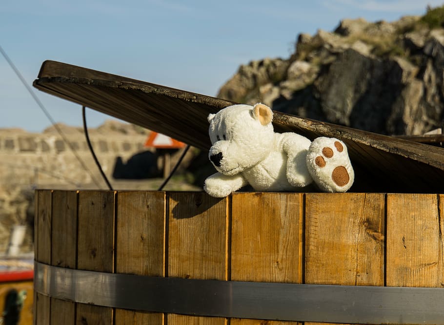 bear, bears, funny, holiday, white, cute, plush, barrel, coast HD wallpaper