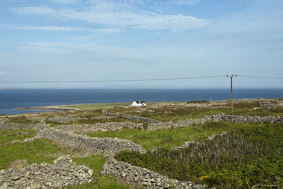 House, Aran Islands, Beach, Stone Wall, sea, sky, animal themes, HD wallpaper