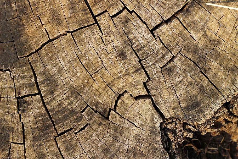 wood, texture, background, nature, background texture, background wood texture HD wallpaper