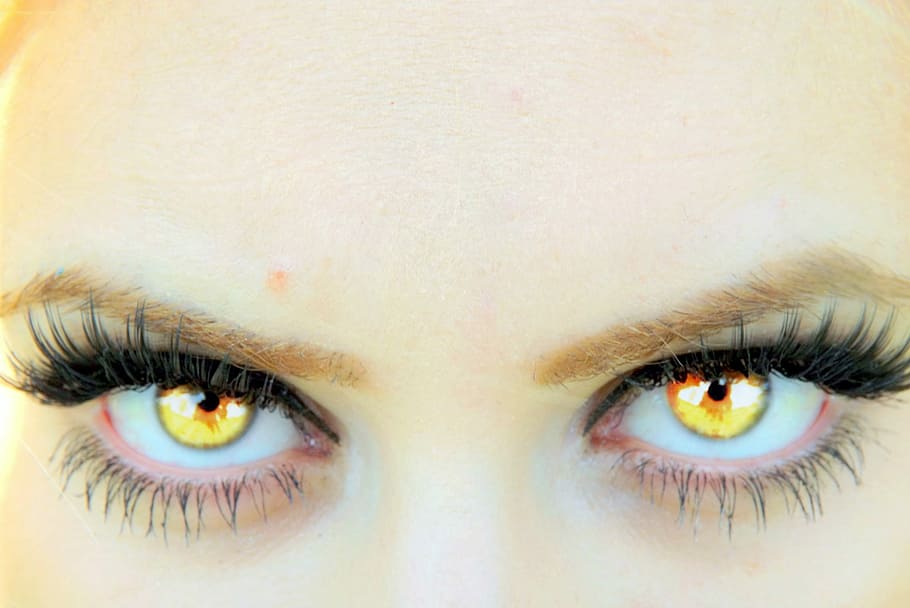 person with yellow eyes, Vampire, Gene, human eye, looking at camera HD wallpaper