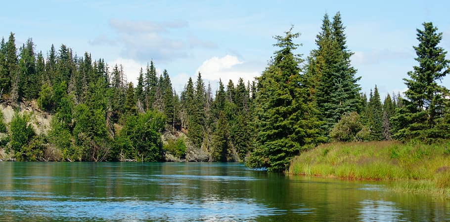 River, Tree, Outdoors, Calm, Peaceful, landscape, nature, water HD wallpaper