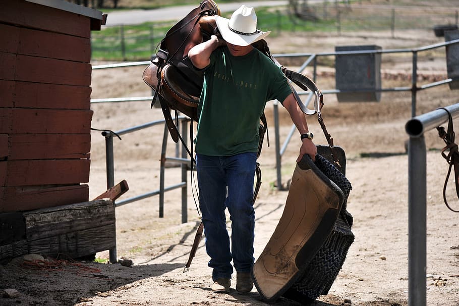 man in green crew-neck shirt holding brown horse saddle, cowboy HD wallpaper