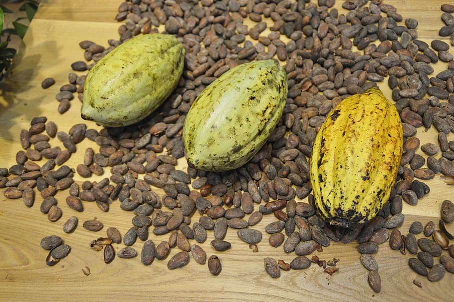 three fruits, cocoa beans, display, chocolate, ingredients HD wallpaper