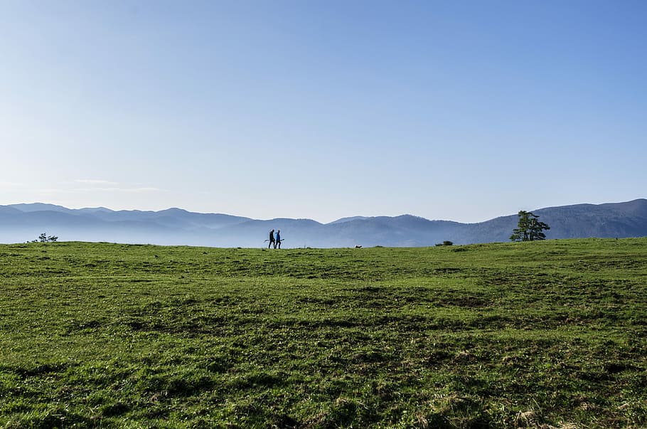 green grass field, two persons walking on green field, stroll HD wallpaper