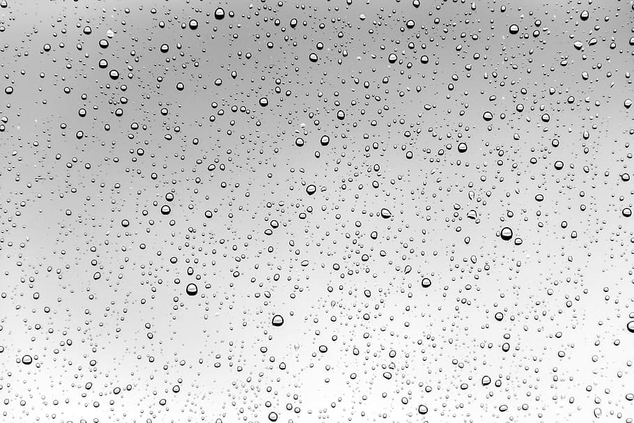 water drops, rain, liquid, rain drops, raindrop, clean, aqua HD wallpaper