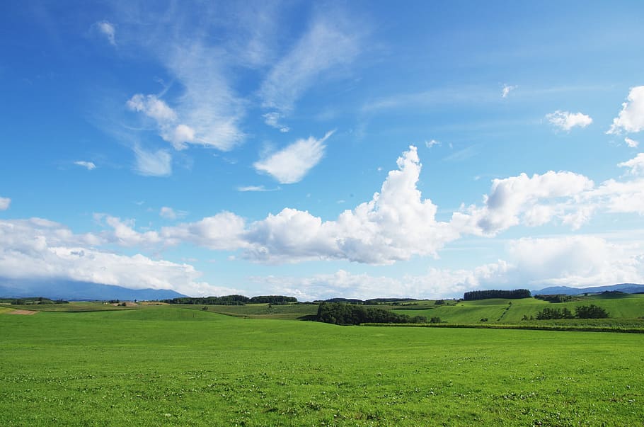 cloudy sky over green grass field, Earth, Natural, Biei, Meadow
