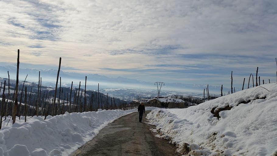 langhe, vineyards, winter, snow, cold temperature, sky, cloud - sky HD wallpaper