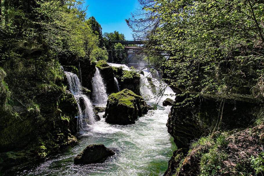 nature, waterfall, tree, plant, beauty in nature, motion, flowing water HD wallpaper
