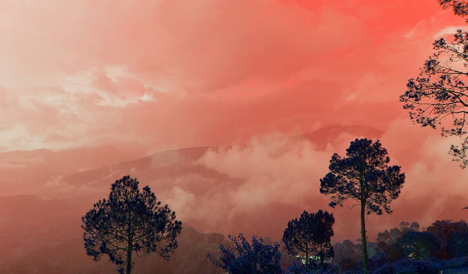 himalayas, nature, mountains, tree, plant, cloud - sky, beauty in nature HD wallpaper