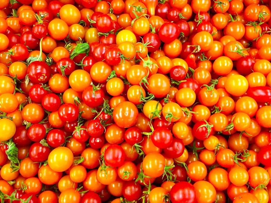 Organic, Tomato, Fresh, red, food and drink, fruit, agriculture HD wallpaper