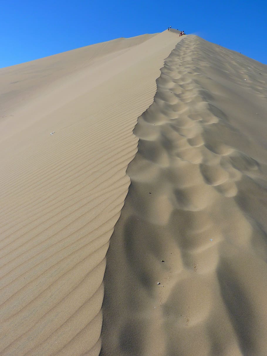 people on top of sand hill, dune, desert, dry, hot, dune ridge HD wallpaper