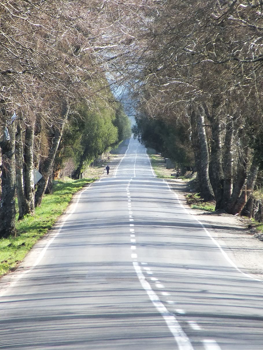 path, street, via, field, rural, the way forward, direction HD wallpaper