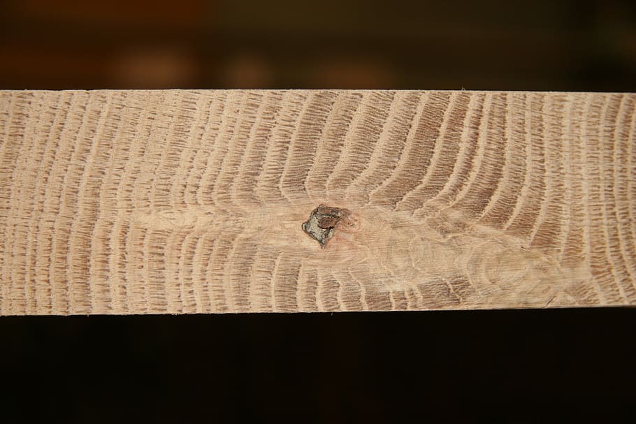 timber, texture, surface, pattern, brown, board, animal wildlife HD wallpaper