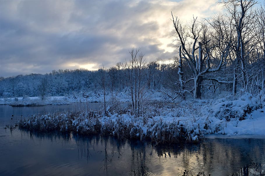landscape, snow, water, winter, tree, cold, frost, nature, forest HD wallpaper
