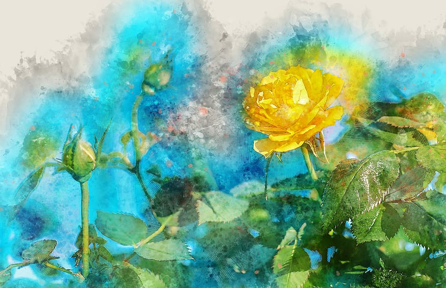 yellow rose painting, flower, nature, leaf, flora, summer, beautiful