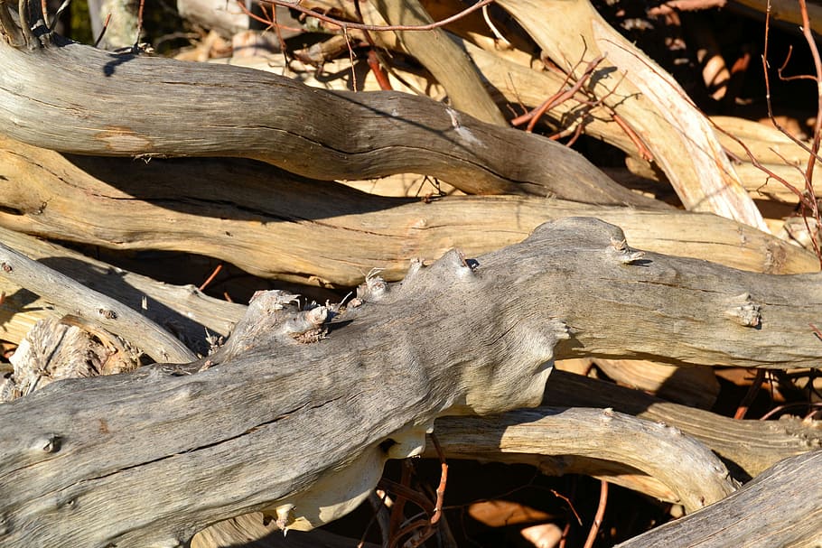 Wood, Stack, Structure, Tree, holzstapel, firewood, log, stock HD wallpaper