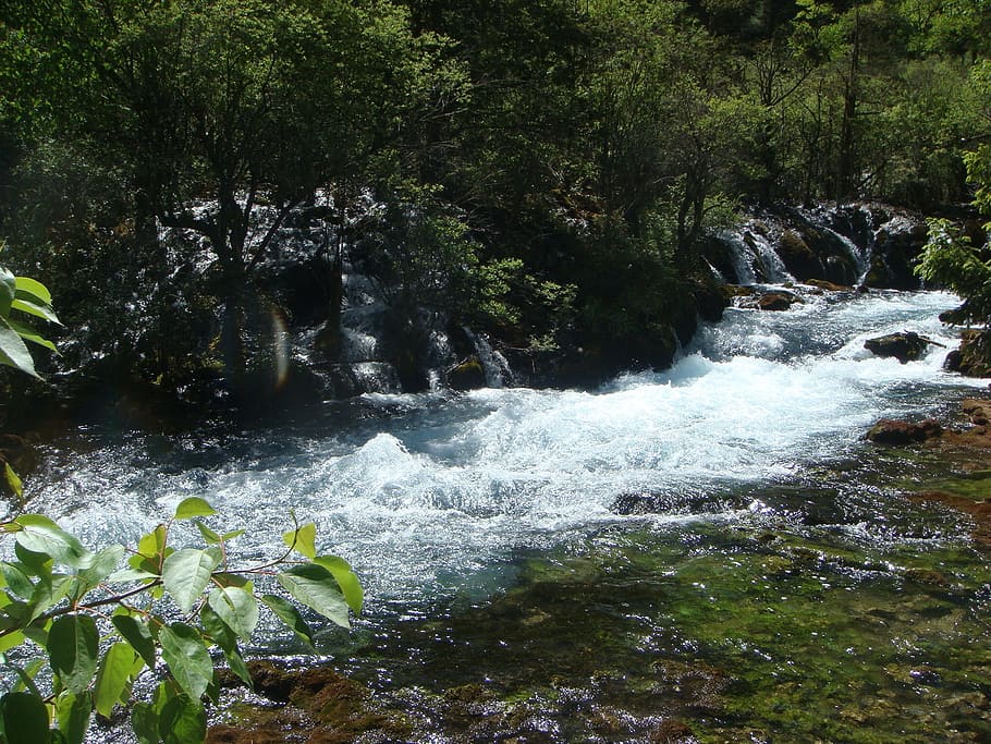 landscape, river, brooks, plant, water, beauty in nature, motion HD wallpaper