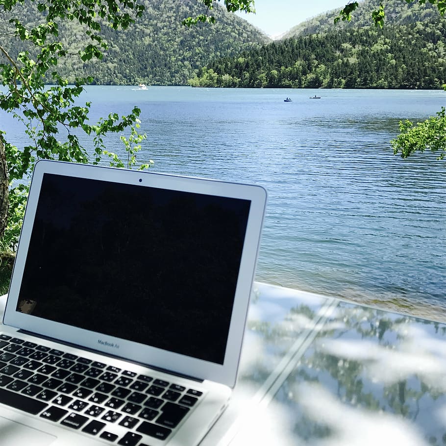 job, pc, lake, technology, laptop, water, computer, tree, wireless technology HD wallpaper