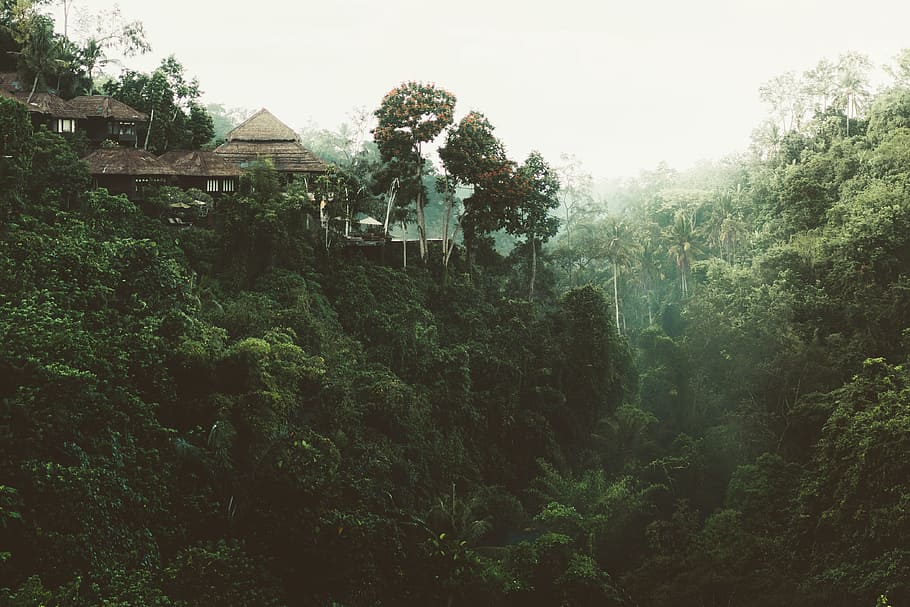 trees, house, nature, view, green, forest, vacation, terrace HD wallpaper