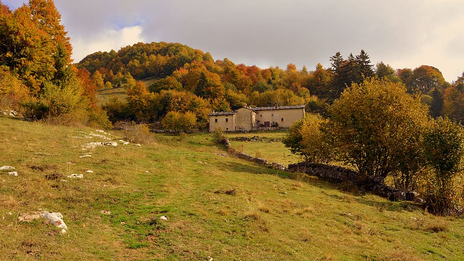 excursion, trees, autumn, trail, mountain, the european path HD wallpaper