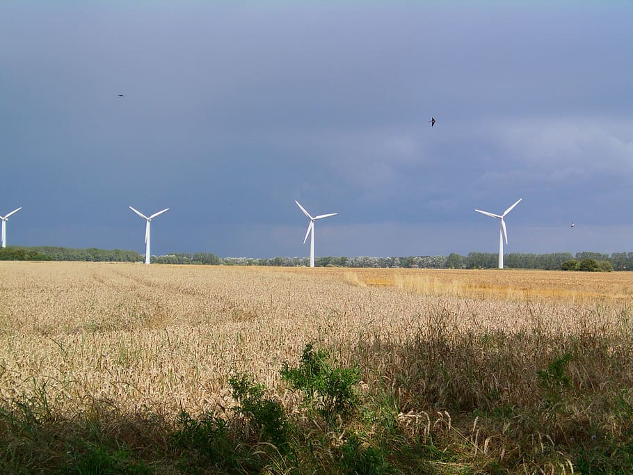 wind power, windräder, windmill, coast, northern germany, fields HD wallpaper