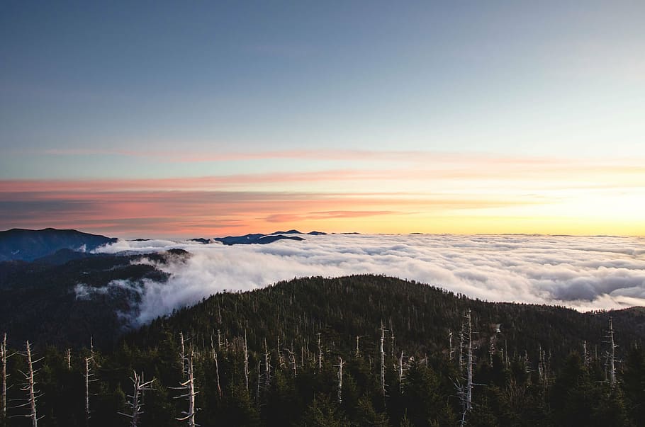 wide angle photo of sea of clouds, sunset, mountains, trees HD wallpaper
