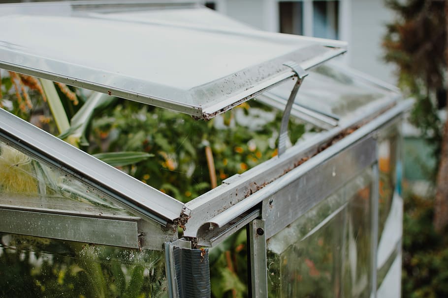 gray metal framed glass window opened during daytime, clear glass container with plant HD wallpaper