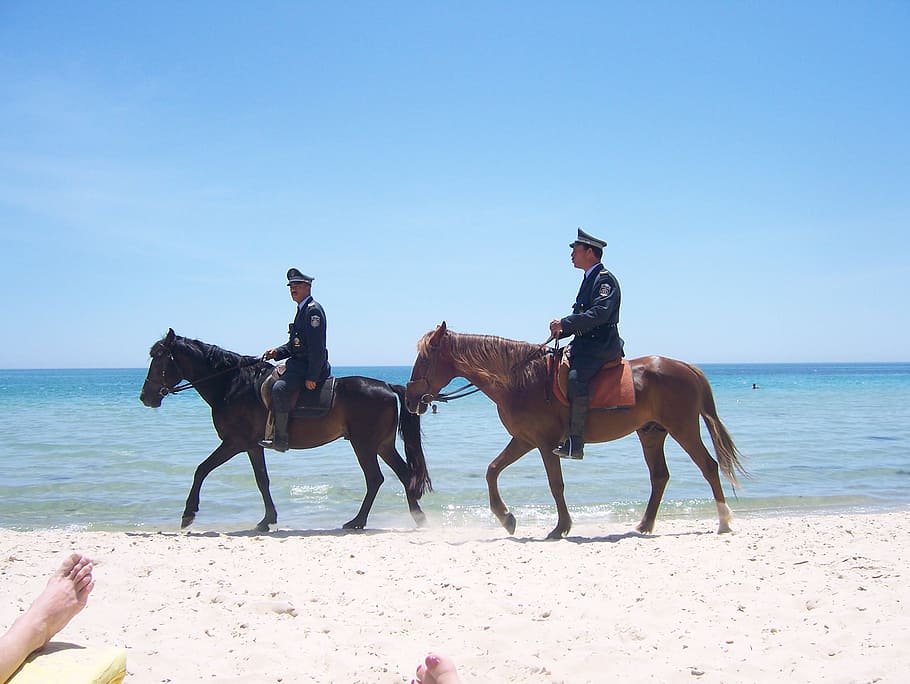 horses, sand, mounted police, ocean, animal, beach, travel, HD wallpaper