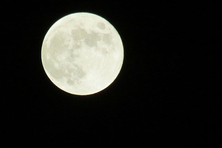 full moon, lunar, astronomy, crater, detail, glow, halloween