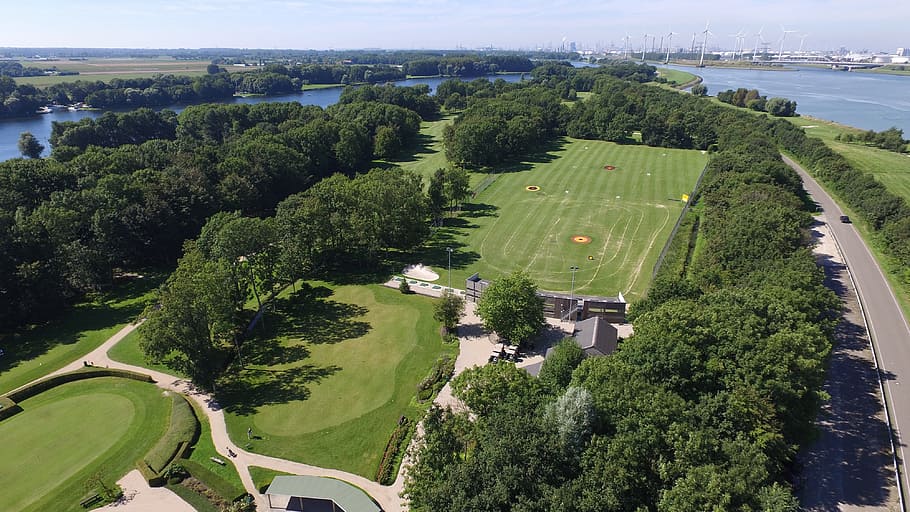 golf, golf course, grass, green, sports, golf ball, tree, plant HD wallpaper