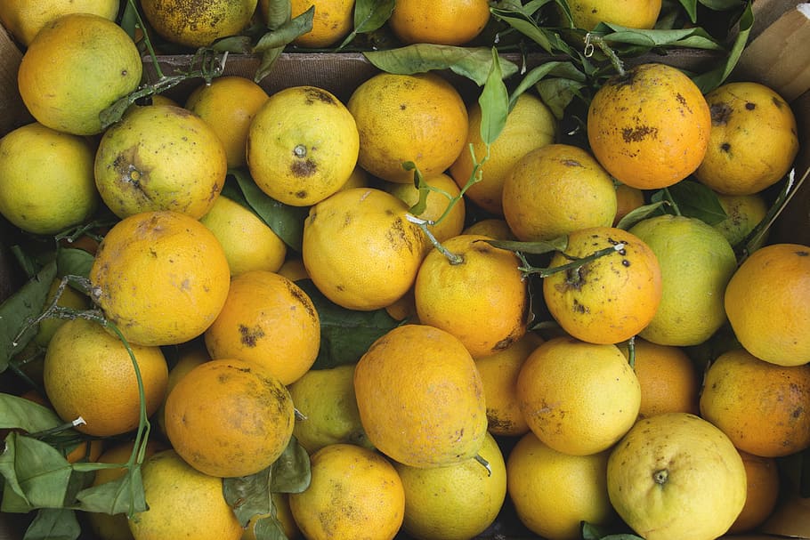 bunch of yellow fruits, low light photography of lemons, orange HD wallpaper