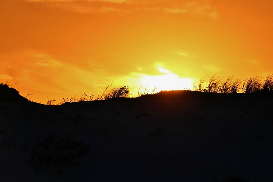 dune, sunset, coast, sand dune, beach, sea, abendstimmung, evening light HD wallpaper