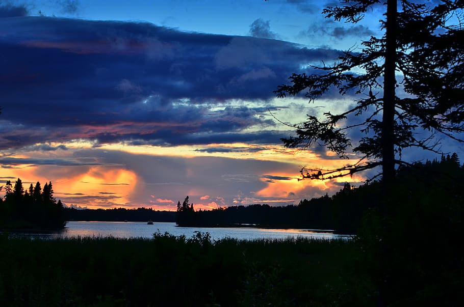 sunset, clouds, evening, tree, twilight, contrast, sky, silhouette HD wallpaper
