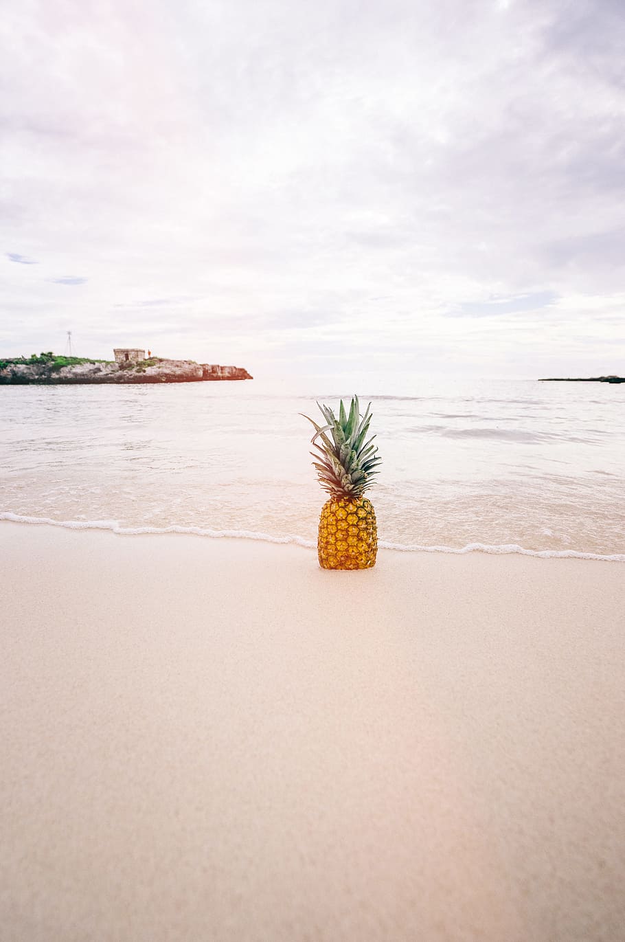 pineapple on sand near beach, pineapple on seashore, daytime HD wallpaper