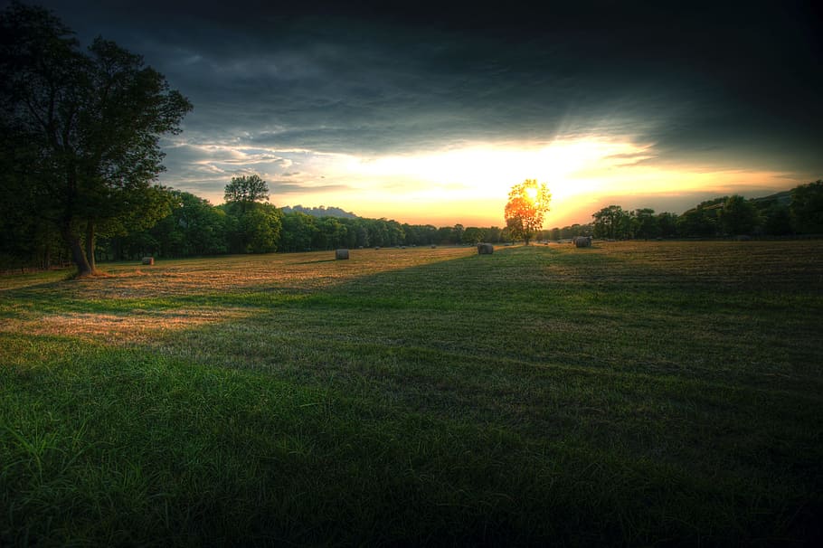 Field, Horizon, Nature, Clouds, Sunset, landscape, tree, rural HD wallpaper