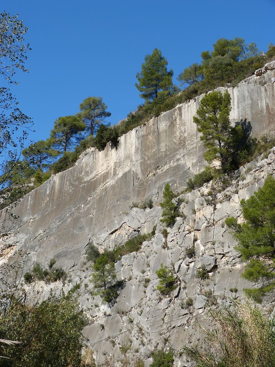 rock wall, vertical, mountain, limestone, plant, sky, nature HD wallpaper