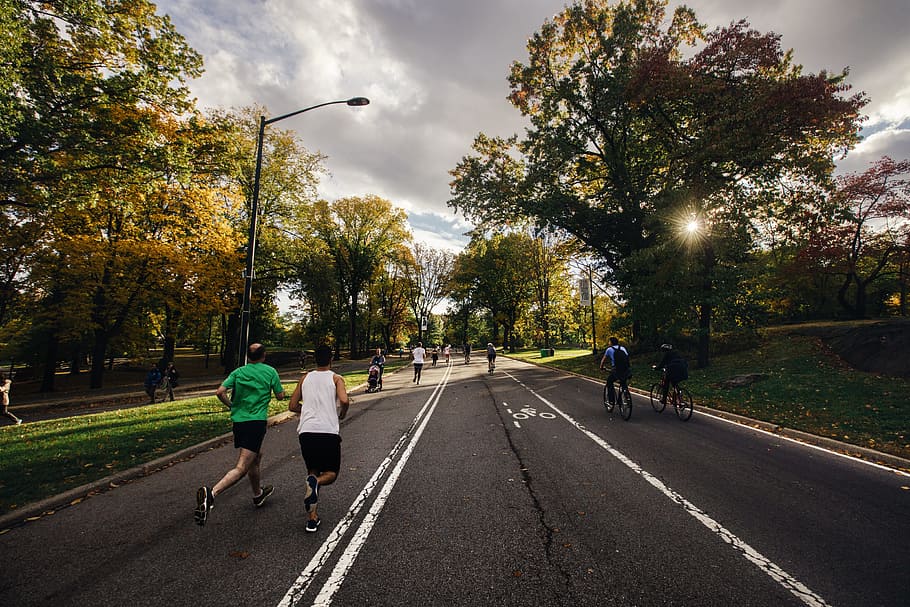 people running and riding bicycle, group of people running on street surrounded by green leaf trees HD wallpaper