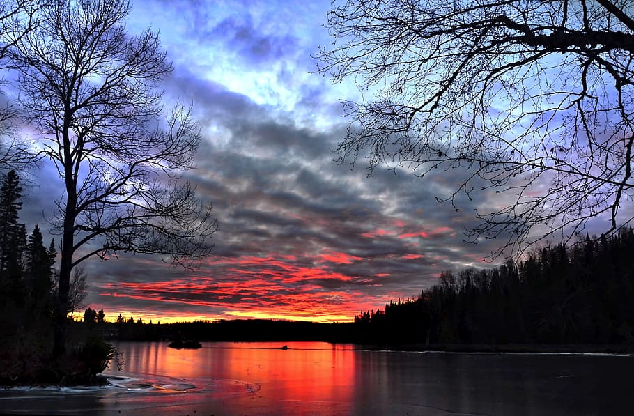 wood, light, dawn, landscape, clouds, dark, dusk, evening, fall HD wallpaper