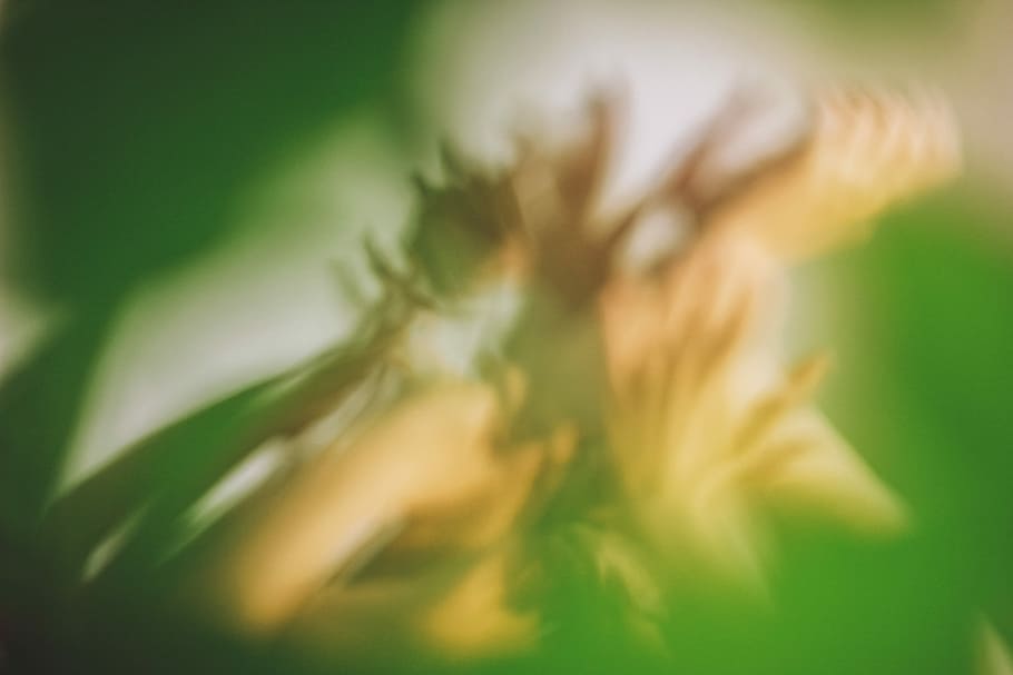 untitled, blur, abstract, hand, green, background, lifestyle HD wallpaper