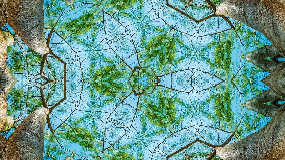 forest, kaleidoscope, pattern, ornament, border, decorative ornament HD wallpaper