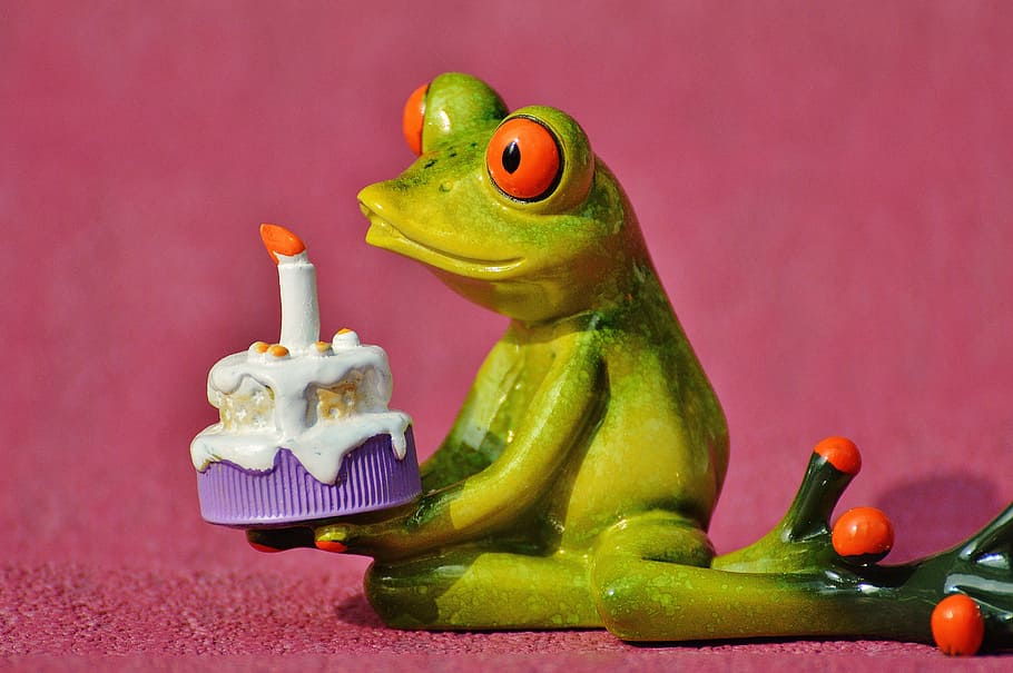frog holds cake figurine, Happy Birthday, Greeting, greeting card, HD wallpaper