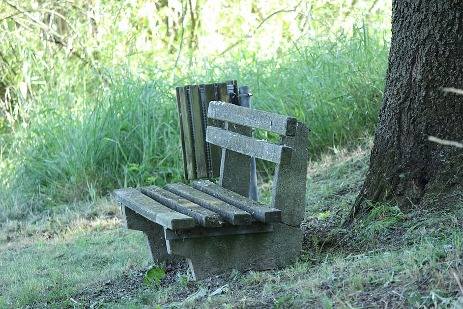 bank, bench, nature, trees, green, out, sit, rest, wooden bench HD wallpaper