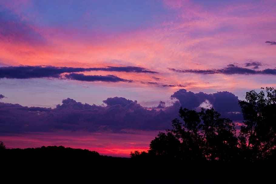 silhouette of trees under orange and purple cloudy skies, sunrise HD wallpaper