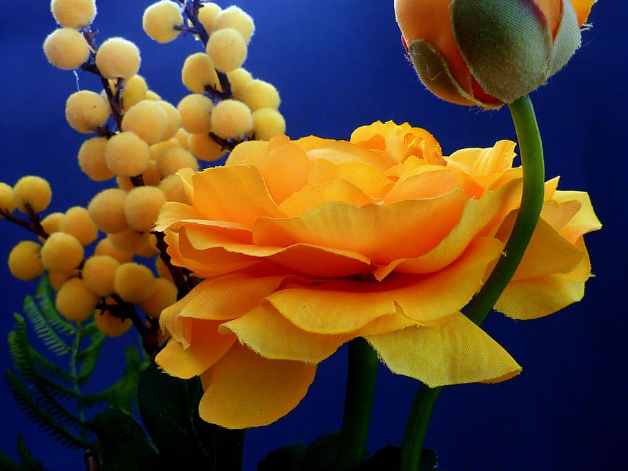 artificial flowers, ranunculus, yellow, spring, blossom, bloom HD wallpaper
