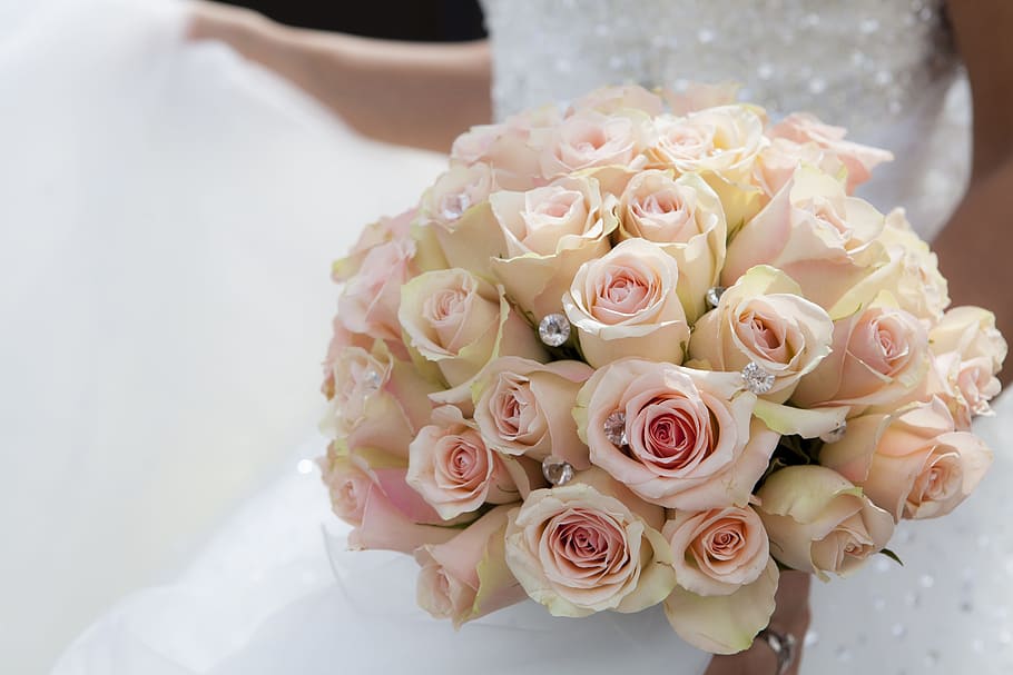 selective focus photo of bride holding bouquet of white-and-pink petaled flowers HD wallpaper