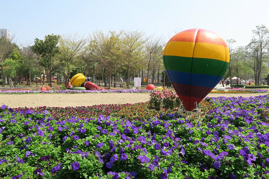 tainan's flowers offering, hot qi ball, duckweed farm park, HD wallpaper